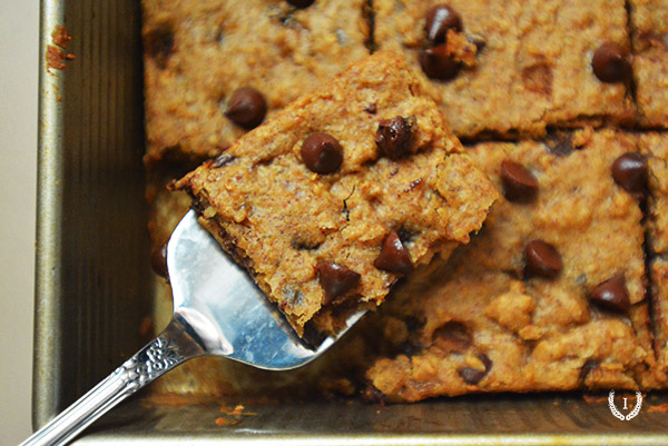 Grain Free Chocolate Chip Blondies