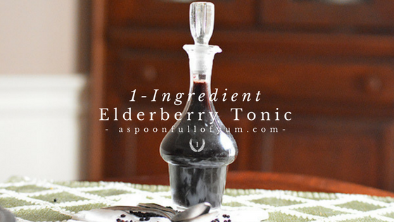 One-Ingredient Elderberry Tonic