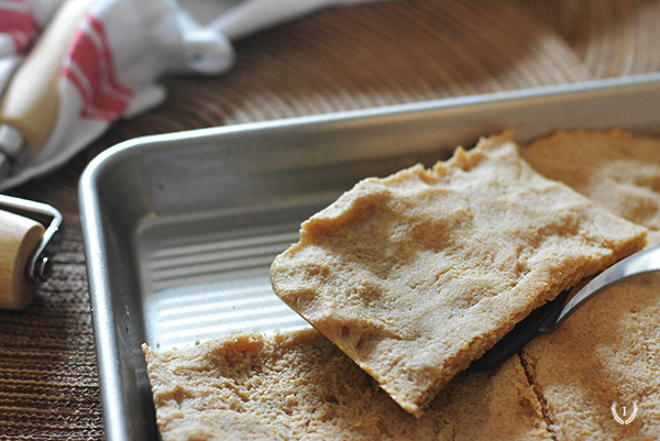 Whole Grain Yeast Free Flatbread