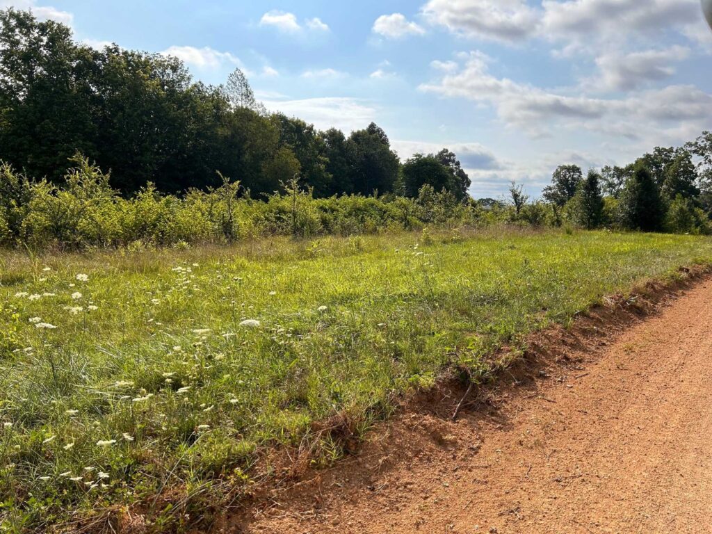 Rural country road under an open sky in Tennessee